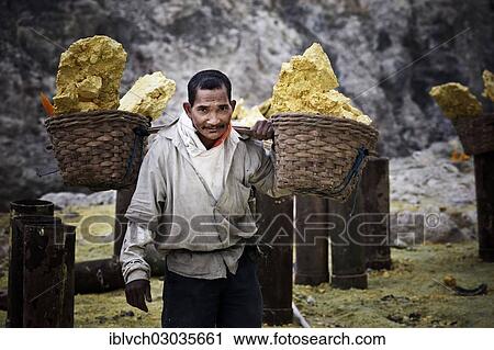 "Sulfur carrier, Kawah ljen, Eastern Java, Java, Indonesia, Asia" View Large Photo Image Stock Image - "Sulfur carrier, Kawah ljen, Eastern Java, Java, Indonesia, Asia". Fotosearch