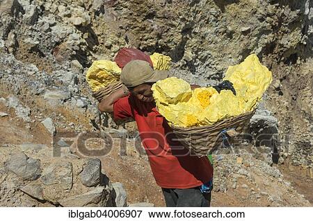 Stock Photo - "Sulphur carrier climbing out of Kawah Ijen volcano, Ijen crater, Banyuwangi, East Java, Indonesia, Asia". Fotosearch