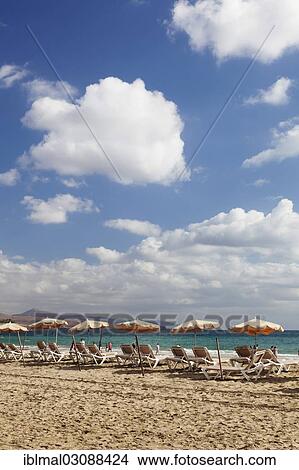 Picture - "Sun beds and sunshades on the beach, Costa Calma, Fuerteventura, Canary Islands, Spain, Europe". Fotosearch