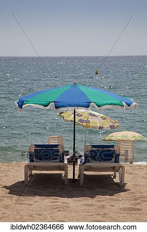"Sun beds and umbrellas on the beach, Blanes, La Selva, Costa Brava, Catalonia, Spain, Europe, PublicGround, Europe" View Large Photo Image Stock Photograph - "Sun beds and umbrellas on the beach, Blanes, La Selva, Costa Brava, Catalonia, Spain, Europe, PublicGround, Europe". Fotosearch