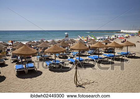 Stock Image - "Sun beds and umbrellas on the sandy beach, Playa de la Venus, Marbella, Costa del Sol, Andalusia, Spain, Europe, PublicGround, Europe". Fotosearch