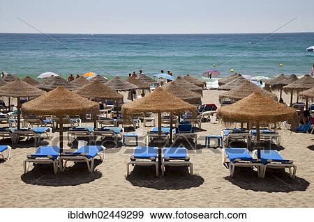 "Sun beds and umbrellas on the sandy beach, Playa de la Venus, Marbella, Costa del Sol, Andalusia, Spain, Europe, PublicGround, Europe" View Large Photo Image Stock Photo - "Sun beds and umbrellas on the sandy beach, Playa de la Venus, Marbella, Costa del Sol, Andalusia, Spain, Europe, PublicGround, Europe". Fotosearch