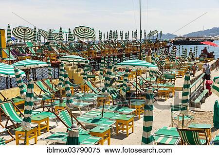 "Sun loungers and parasols, beach, San Michele di Pagana district, Rapallo, seaside resort on the Gulf of Genoa, Italian Riviera, Liguria, Italy, Europe" View Large Photo Image Stock Photography - "Sun loungers and parasols, beach, San Michele di Pagana district, Rapallo, seaside resort on the Gulf of Genoa, Italian Riviera, Liguria, Italy, Europe". Fotosearch