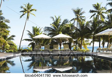"Sun loungers and parasols by a pool under palm trees, Vomo Island, Mamanuca Islands, Fiji, Oceania" View Large Photo Image Stock Image - "Sun loungers and parasols by a pool under palm trees, Vomo Island, Mamanuca Islands, Fiji, Oceania". Fotosearch