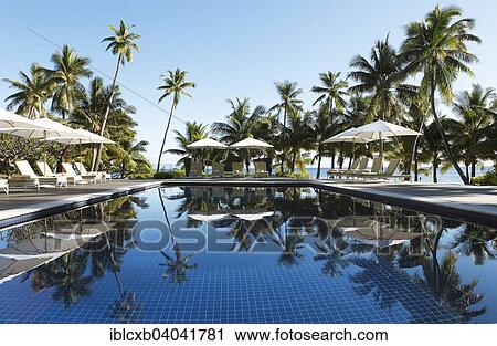 "Sun loungers and parasols by a pool under palm trees, Vomo Island, Mamanuca Islands, Fiji, Oceania" View Large Photo Image Stock Image - "Sun loungers and parasols by a pool under palm trees, Vomo Island, Mamanuca Islands, Fiji, Oceania". Fotosearch