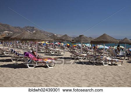 "Sunbeds and sunshades on a sandy beach, Fuengirola, Costa del Sol, Andalusia, Spain, Europe, PublicGround, Europe" View Large Photo Image Stock Image - "Sunbeds and sunshades on a sandy beach, Fuengirola, Costa del Sol, Andalusia, Spain, Europe, PublicGround, Europe". Fotosearch