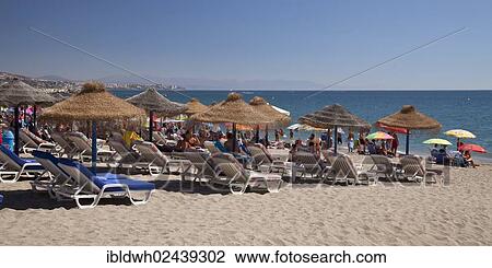 "Sunbeds and sunshades on a sandy beach, Fuengirola, Costa del Sol, Andalusia, Spain, Europe, PublicGround, Europe" View Large Photo Image Stock Image - "Sunbeds and sunshades on a sandy beach, Fuengirola, Costa del Sol, Andalusia, Spain, Europe, PublicGround, Europe". Fotosearch