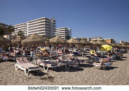 "Sunbeds and sunshades on the beach in front of hotel buildings, Torremolinos, Malaga province, Costa del Sol, Andalusia, Spain, Europe, PublicGround, Europe" View Large Photo Image Stock Image - "Sunbeds and sunshades on the beach in front of hotel buildings, Torremolinos, Malaga province, Costa del Sol, Andalusia, Spain, Europe, PublicGround, Europe". Fotosearch