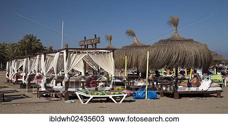 "Sunbeds on the Copacabana Playa beach, Torremolinos, Malaga province, Costa del Sol, Andalusia, Spain, Europe, PublicGround, Europe" View Large Photo Image Stock Image - "Sunbeds on the Copacabana Playa beach, Torremolinos, Malaga province, Costa del Sol, Andalusia, Spain, Europe, PublicGround, Europe". Fotosearch