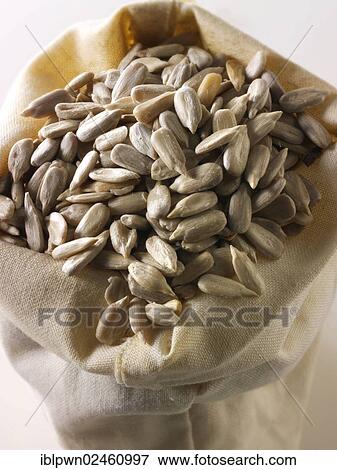 Sunflower seeds View Large Photo Image Stock Photo - Sunflower seeds. Fotosearch