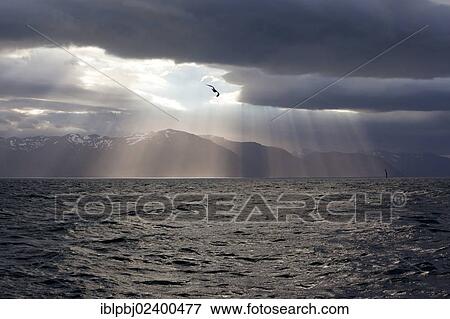 "Sunlight breaking through storm clouds, Iceland, Europe" View Large Photo Image Stock Photo - "Sunlight breaking through storm clouds, Iceland, Europe". Fotosearch
