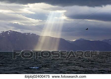 "Sunlight breaking through storm clouds, Iceland, Europe" View Large Photo Image Stock Photography - "Sunlight breaking through storm clouds, Iceland, Europe". Fotosearch