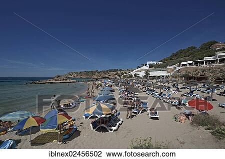 "Sunloungers on the beach, Cala Tarida, Ibiza, Pitiusic Islands or Pine Islands, Balearic Islands, Spain, Europe" View Large Photo Image Stock Image - "Sunloungers on the beach, Cala Tarida, Ibiza, Pitiusic Islands or Pine Islands, Balearic Islands, Spain, Europe". Fotosearch