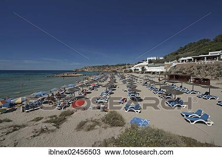 "Sunloungers on the beach, Cala Tarida, Ibiza, Pitiusic Islands or Pine Islands, Balearic Islands, Spain, Europe" View Large Photo Image Stock Image - "Sunloungers on the beach, Cala Tarida, Ibiza, Pitiusic Islands or Pine Islands, Balearic Islands, Spain, Europe". Fotosearch