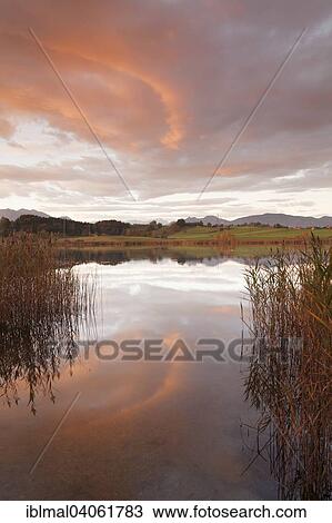 "Sunrise at Froschhausersee lake, near Riegsee, Pfaffenwinkel region, Upper Bavaria, Bavaria, Germany, Europe" View Large Photo Image Stock Image - "Sunrise at Froschhausersee lake, near Riegsee, Pfaffenwinkel region, Upper Bavaria, Bavaria, Germany, Europe". Fotosearch