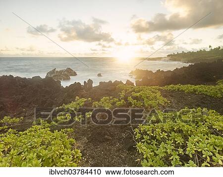"Sunrise in Hana Bay, Maui, Hawaii, USA" View Large Photo Image Stock Image - "Sunrise in Hana Bay, Maui, Hawaii, USA". Fotosearch