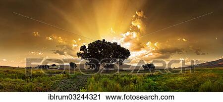 "Sunrise in Owens Valley, at the foot of the Sierra Nevada mountains, Owens Valley, Bishop, California, United States, North America" View Large Photo Image Stock Image - "Sunrise in Owens Valley, at the foot of the Sierra Nevada mountains, Owens Valley, Bishop, California, United States, North America". Fotosearch