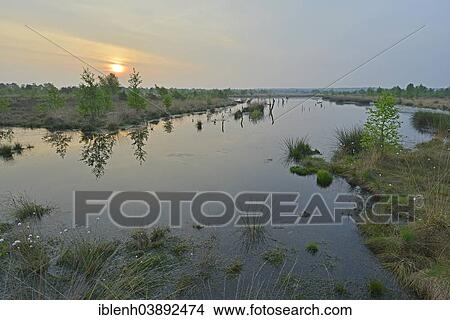 "Sunrise in the Hahnenmoor nature reserve, Emsland, Lower Saxony, Germany, Europe" View Large Photo Image Picture - "Sunrise in the Hahnenmoor nature reserve, Emsland, Lower Saxony, Germany, Europe". Fotosearch