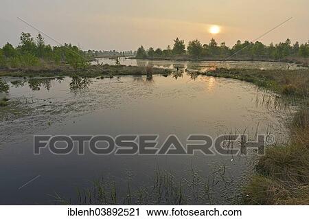 "Sunrise in the Hahnenmoor nature reserve, Emsland, Lower Saxony, Germany, Europe" View Large Photo Image Stock Image - "Sunrise in the Hahnenmoor nature reserve, Emsland, Lower Saxony, Germany, Europe". Fotosearch