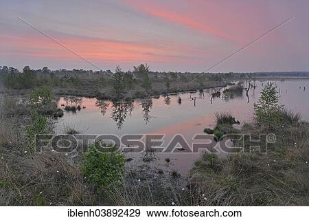 Stock Photo - "Sunrise in the Hahnenmoor nature reserve, Emsland, Lower Saxony, Germany, Europe". Fotosearch
