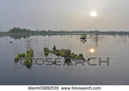 "Sunrise in the Hahnenmoor nature reserve, Emsland, Lower Saxony, Germany, Europe" View Large Photo Image Stock Photography - "Sunrise in the Hahnenmoor nature reserve, Emsland, Lower Saxony, Germany, Europe". Fotosearch