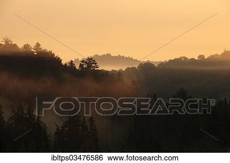 "Sunrise over a forest, morning mist, Algonquin Provincial Park, Ontario Province, Canada, North America" View Large Photo Image Stock Photograph - "Sunrise over a forest, morning mist, Algonquin Provincial Park, Ontario Province, Canada, North America". Fotosearch