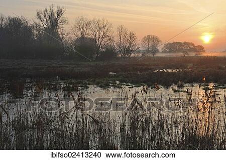 Sunrise over a marshland, Thuringia, Germany, Europe View Large Photo Image Stock Image - Sunrise over a marshland, Thuringia, Germany, Europe. Fotosearch