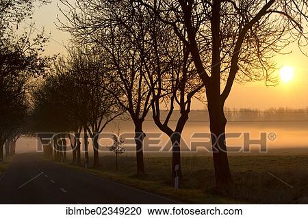 "Sunrise over a misty landscape, K6305 county road near Priort, Havelland region, Brandenburg, Germany, Europe" View Large Photo Image Stock Image - "Sunrise over a misty landscape, K6305 county road near Priort, Havelland region, Brandenburg, Germany, Europe". Fotosearch