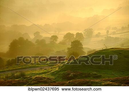 "Sunrise over Rosedale viewed from Chimney Bank, North York Moors National Park, North Yorkshire, England, United Kingdom, Europe" View Large Photo Image Stock Photography - "Sunrise over Rosedale viewed from Chimney Bank, North York Moors National Park, North Yorkshire, England, United Kingdom, Europe". Fotosearch
