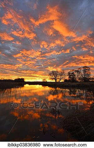 "Sunrise over the Leiner See lake in the Middle Elbe Biosphere Reserve, Dessau, Saxony-Anhalt, Germany, Europe" View Large Photo Image Stock Image - "Sunrise over the Leiner See lake in the Middle Elbe Biosphere Reserve, Dessau, Saxony-Anhalt, Germany, Europe". Fotosearch