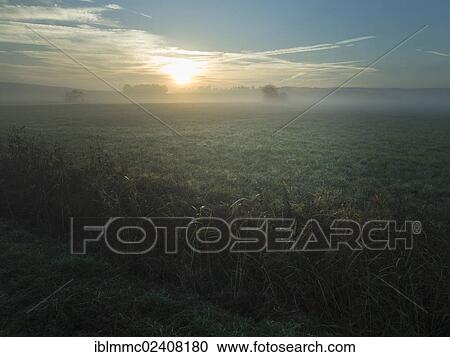 "Sunrise over the meadows in the morning mist, Lindenau, Augsburg, Swabia, Bavaria, Germany, Europe" View Large Photo Image Stock Image - "Sunrise over the meadows in the morning mist, Lindenau, Augsburg, Swabia, Bavaria, Germany, Europe". Fotosearch