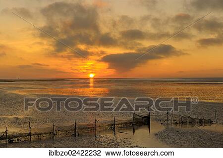 Sunrise over the North Sea, Texel, Wadden Islands, Netherlands, Holland, Europe View Large Photo Image Stock Image - Sunrise over the North Sea, Texel, Wadden Islands, Netherlands, Holland, Europe. Fotosearch