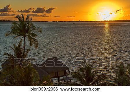 "Sunrise over the South Pacific, Bora Bora, French Polynesia, Oceania" View Large Photo Image Stock Photograph - "Sunrise over the South Pacific, Bora Bora, French Polynesia, Oceania". Fotosearch