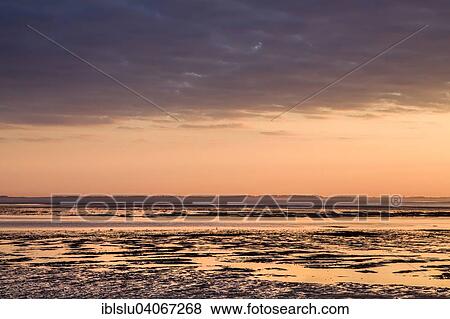 "Sunrise over the Wadden Sea, Steenodde, Amrum, North Frisian Islands, North Frisia, Schleswig-Holstein, Germany, Europe" View Large Photo Image Stock Photo - "Sunrise over the Wadden Sea, Steenodde, Amrum, North Frisian Islands, North Frisia, Schleswig-Holstein, Germany, Europe". Fotosearch