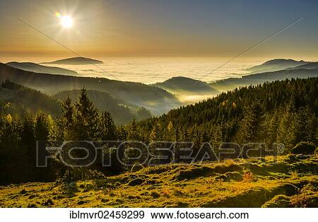 "Sunrise with fog in autumn, Sommeralm alpine pasture, Almenland, Austria, Europe" View Large Photo Image Stock Photo - "Sunrise with fog in autumn, Sommeralm alpine pasture, Almenland, Austria, Europe". Fotosearch