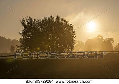 "Sunrise with morning mist over meadows and pastures, near Galkowo, Warmian-Masurian Voivodeship or Warmia-Masuria Province, Poland, Europe" View Large Photo Image Picture - "Sunrise with morning mist over meadows and pastures, near Galkowo, Warmian-Masurian Voivodeship or Warmia-Masuria Province, Poland, Europe". Fotosearch