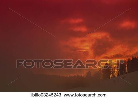 "Sunset, afterglow, Feldberg - Schwarzwald, Black Forest, Baden-Wurttemberg, Germany, Europe" View Large Photo Image Stock Image - "Sunset, afterglow, Feldberg - Schwarzwald, Black Forest, Baden-Wurttemberg, Germany, Europe". Fotosearch