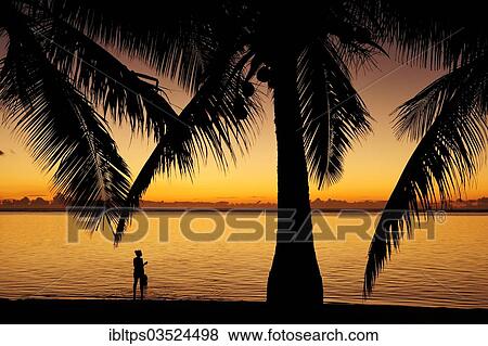 "Sunset at Le Morne Beach with palm trees, La Gaulette, Mauritius, Africa" View Large Photo Image Stock Photo - "Sunset at Le Morne Beach with palm trees, La Gaulette, Mauritius, Africa". Fotosearch