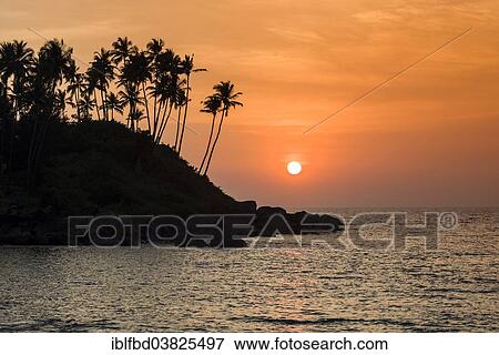 "Sunset at the beach with rocks and palm trees, Palolem Beach, Canacona, Goa, India, Asia" View Large Photo Image Stock Photo - "Sunset at the beach with rocks and palm trees, Palolem Beach, Canacona, Goa, India, Asia". Fotosearch
