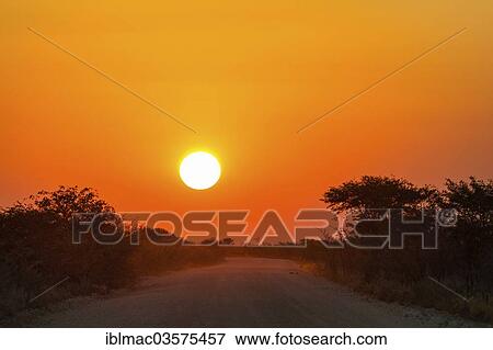"Sunset, Etosha National Park, Namibia, Africa" View Large Photo Image Stock Photo - "Sunset, Etosha National Park, Namibia, Africa". Fotosearch