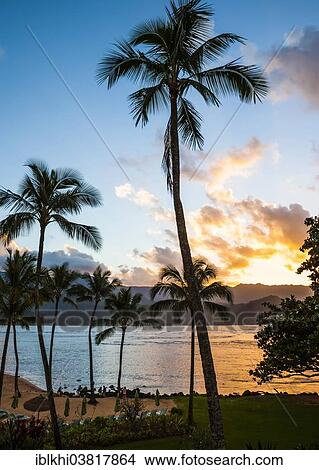 "Sunset in Hanalei Bay, Kauai, Hawaii, USA" View Large Photo Image Picture - "Sunset in Hanalei Bay, Kauai, Hawaii, USA". Fotosearch