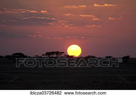 "Sunset in the desert, Bar Hiqman, Oman, Asia" View Large Photo Image Stock Image - "Sunset in the desert, Bar Hiqman, Oman, Asia". Fotosearch