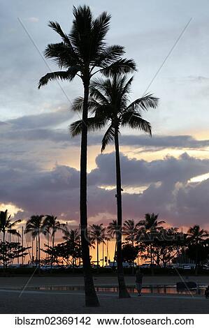 "Sunset on Waikiki Beach, Honolulu, O'ahu, Hawai'i, USA, America" View Large Photo Image Stock Image - "Sunset on Waikiki Beach, Honolulu, O'ahu, Hawai'i, USA, America". Fotosearch