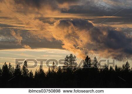 "Sunset over forest, Martinselkosen, Suomussalmi, Kainuu, Finland, Europe" View Large Photo Image Stock Photo - "Sunset over forest, Martinselkosen, Suomussalmi, Kainuu, Finland, Europe". Fotosearch