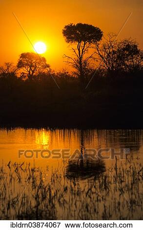 "Sunset over the Chobe River, Kasane, Chobe, Botswana, Africa" View Large Photo Image Stock Photo - "Sunset over the Chobe River, Kasane, Chobe, Botswana, Africa". Fotosearch