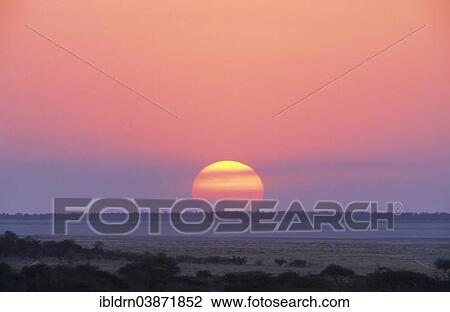 "Sunset over the Kgalagadi Transfrontier Park, North Cape, South Africa, Africa" View Large Photo Image Stock Image - "Sunset over the Kgalagadi Transfrontier Park, North Cape, South Africa, Africa". Fotosearch