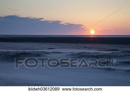 "Sunset over the sand dunes on the Nordstrand beach, Lower Saxon Wadden Sea National Park, Borkum, East Frisian Islands, East Frisia, Lower Saxony, Germany, Europe" View Large Photo Image Stock Photo - "Sunset over the sand dunes on the Nordstrand beach, Lower Saxon Wadden Sea National Park, Borkum, East Frisian Islands, East Frisia, Lower Saxony, Germany, Europe". Fotosearch