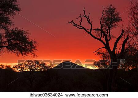 "Sunset over the savannah, Khomas Region, Namibia, Africa" View Large Photo Image Picture - "Sunset over the savannah, Khomas Region, Namibia, Africa". Fotosearch