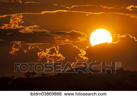 "Sunset with clouds over dunes with plant cover, Mata Mata, Kgalagadi Transfrontier Park, South Africa, Africa" View Large Photo Image Stock Photo - "Sunset with clouds over dunes with plant cover, Mata Mata, Kgalagadi Transfrontier Park, South Africa, Africa". Fotosearch