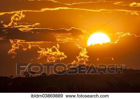 "Sunset with clouds over dunes with plant cover, Mata Mata, Kgalagadi Transfrontier Park, South Africa, Africa" View Large Photo Image Stock Photo - "Sunset with clouds over dunes with plant cover, Mata Mata, Kgalagadi Transfrontier Park, South Africa, Africa". Fotosearch